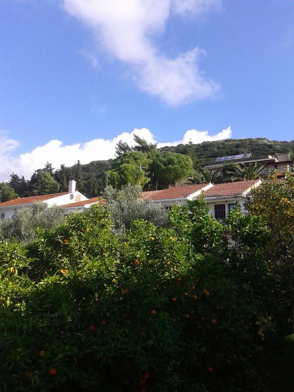 Aggelos Kefalonia Lassi Lassi  Exteriör bild
